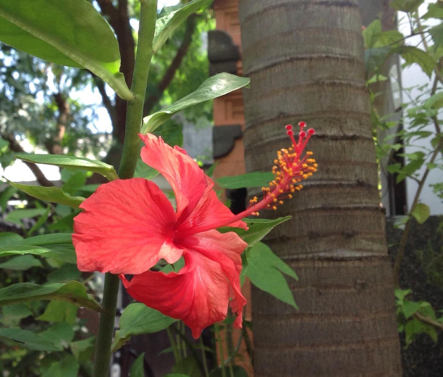 Gili Nyepi Hotel กีลีตราวางัน ภายนอก รูปภาพ